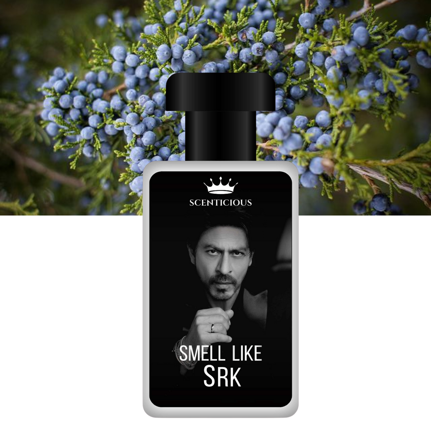 SMELL LIKE SRK