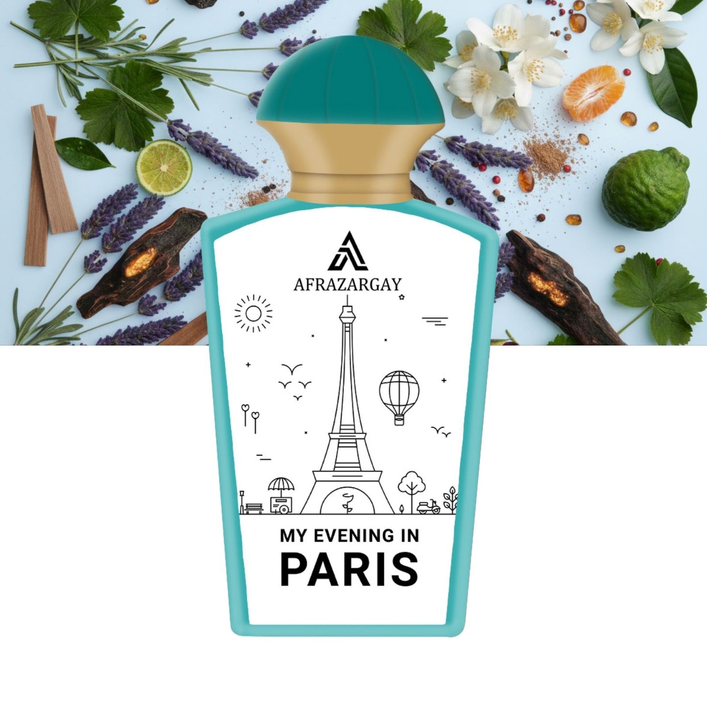 MY EVENING IN PARIS