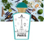 MY EVENING IN PARIS